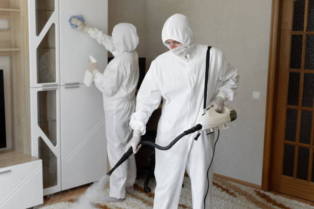 Crawl Space Mold Removal in Tucson, AZ