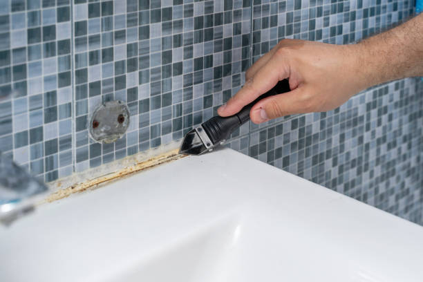 Best Affordable Mold Removal  in Tucson, AZ