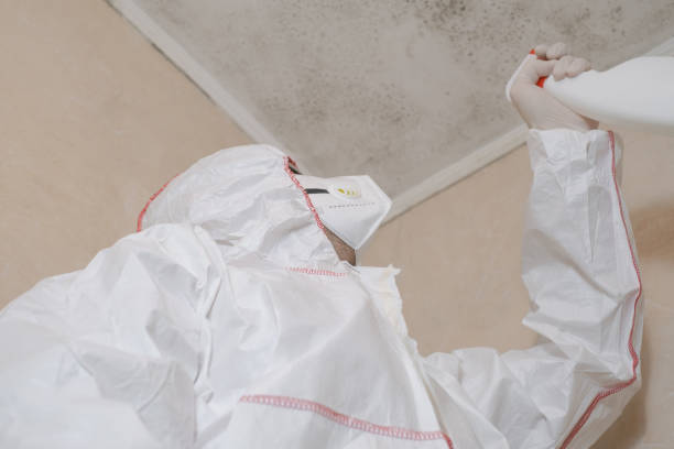 Best Mold Testing  in Tucson, AZ